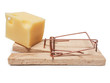 Mausefalle
