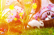 Children on Easter egg hunt with bunny