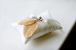 Two wedding rings on a pillow