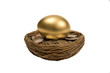 Golden Egg Laying On Coins Isolated On White