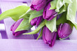 Purple tulip - Lila Tulpe