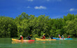 Kayaking in the thai - kayaking at krabi thailand - kayaking at