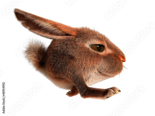 Illustration: Little rabbit runs Little rabbit runs