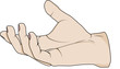 The hand given palm up