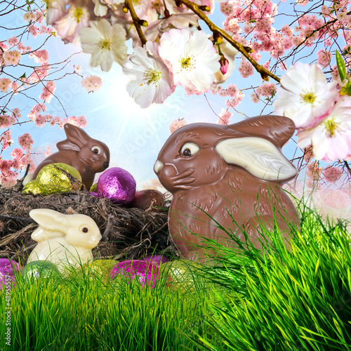 Photo: Frohe Ostern: Osternest mit Schokohasen Frohe Ostern: Osternest mit Schokohasen