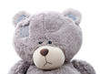 sad teddy bear. Close-up