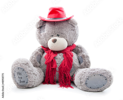 Photo: dressed teddy bear. isolated dressed teddy bear. isolated
