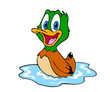 Cute Duck