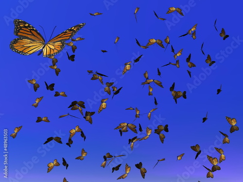 Illustration: Monarch butterflies migration - 3D render Monarch butterflies migration - 3D render