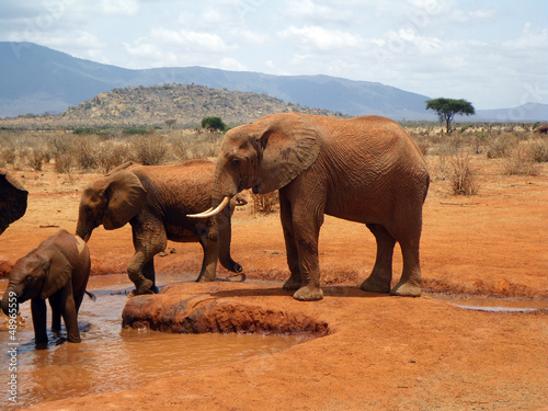 Photo: Elephants in Tsavo Elephants in Tsavo