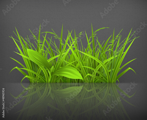 Vector: Green grass Green grass