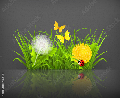 Vector: Summer grass Summer grass