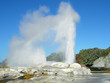 Pohutu Geyser eruption in Rotorua