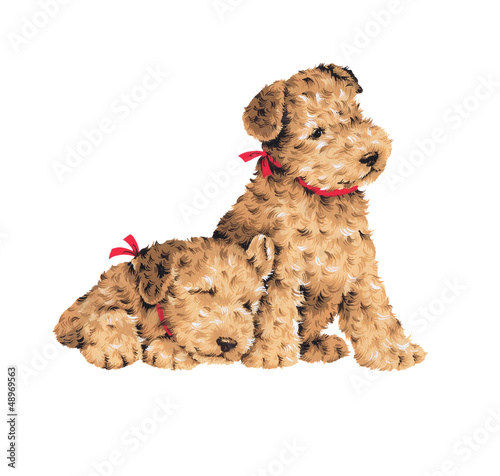 Illustration: 可愛い犬 可愛い犬
