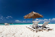 Tropical lounge