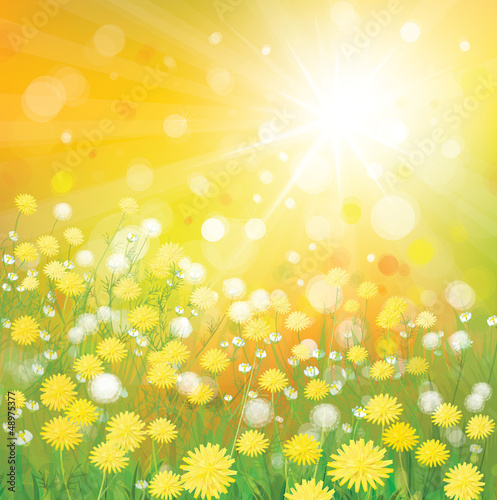 Vector: Vector of sky background with yellow dandelions. Vector of sky background with yellow dandelions.
