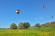 Three bright balloons