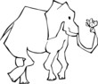 Elefante
