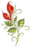 Calla, Lilie, lilly, Ranke, flora, Blume, Bl�te, rot