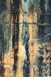 moldy wall