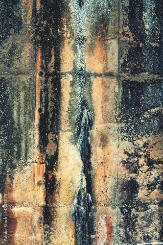 Photo: moldy wall moldy wall