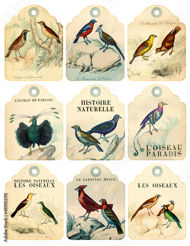 Illustration: 9 vintage birds labels 9 vintage birds labels