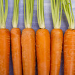 carottes