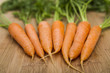 carottes