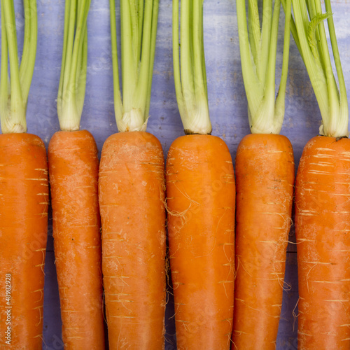 Photo: carottes carottes