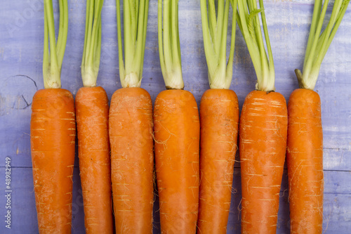 Photo: carottes carottes