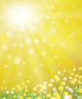 Vector of sky background with yellow dandelions.