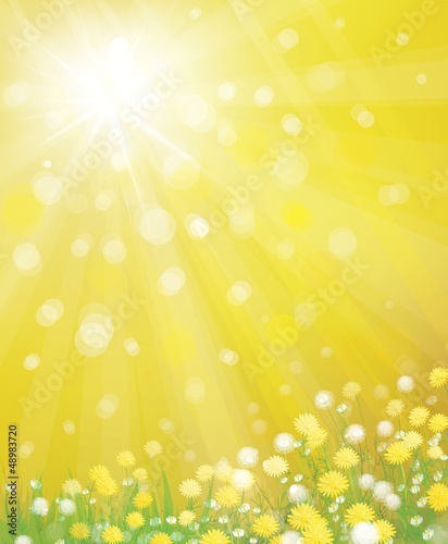 Vector: Vector of sky background with yellow dandelions. Vector of sky background with yellow dandelions.