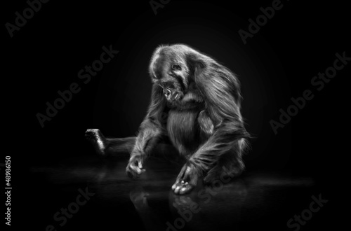 Photo: bald allein bald allein
