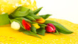 Bunte Tulpenknospen auf gelb