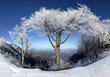 Mountains with snow