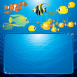 Vektor: Underwater Sea Life Background Underwater Sea Life Background