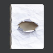 Ring notebook with hole in the cover.
