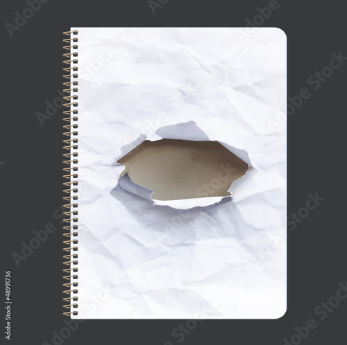 Illustration: Ring notebook with hole in the cover. Ring notebook with hole in the cover.