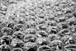 close up bubble wrap