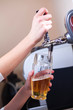 Photo: barman draft beer barman draft beer