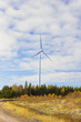 Electric windmill