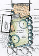 Garden Sketch Design