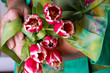 old lady holding a tulips