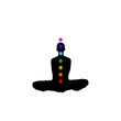 The 7 Chakras
