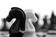 black and white knights