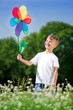 Boy with weathercock