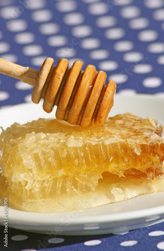Photo: Honey Comb and Dipper Honey Comb and Dipper
