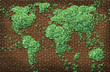 Illustration: Global Leaf Map Global Leaf Map
