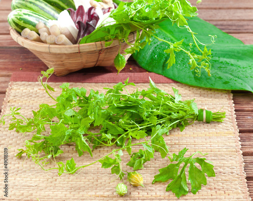 Photo: Young bitter gourd the tropical vegetables with unique taste Young bitter gourd the tropical vegetables with unique taste