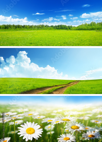 Photo: banners of spring fields and flowers banners of spring fields and flowers